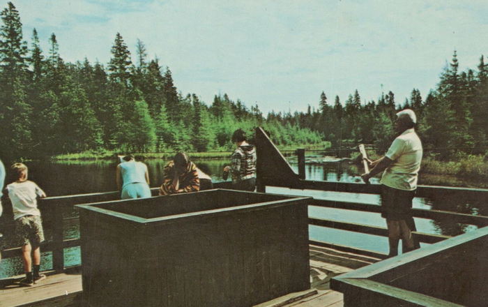 Kitch-iti-kipi - Postcard (newer photo)